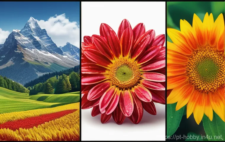 근력 운동 계획 - Here are three detailed image generation prompts in English, based on the provided text: